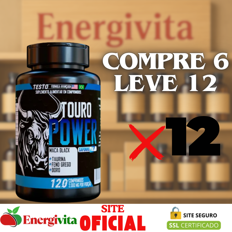 Touro Power